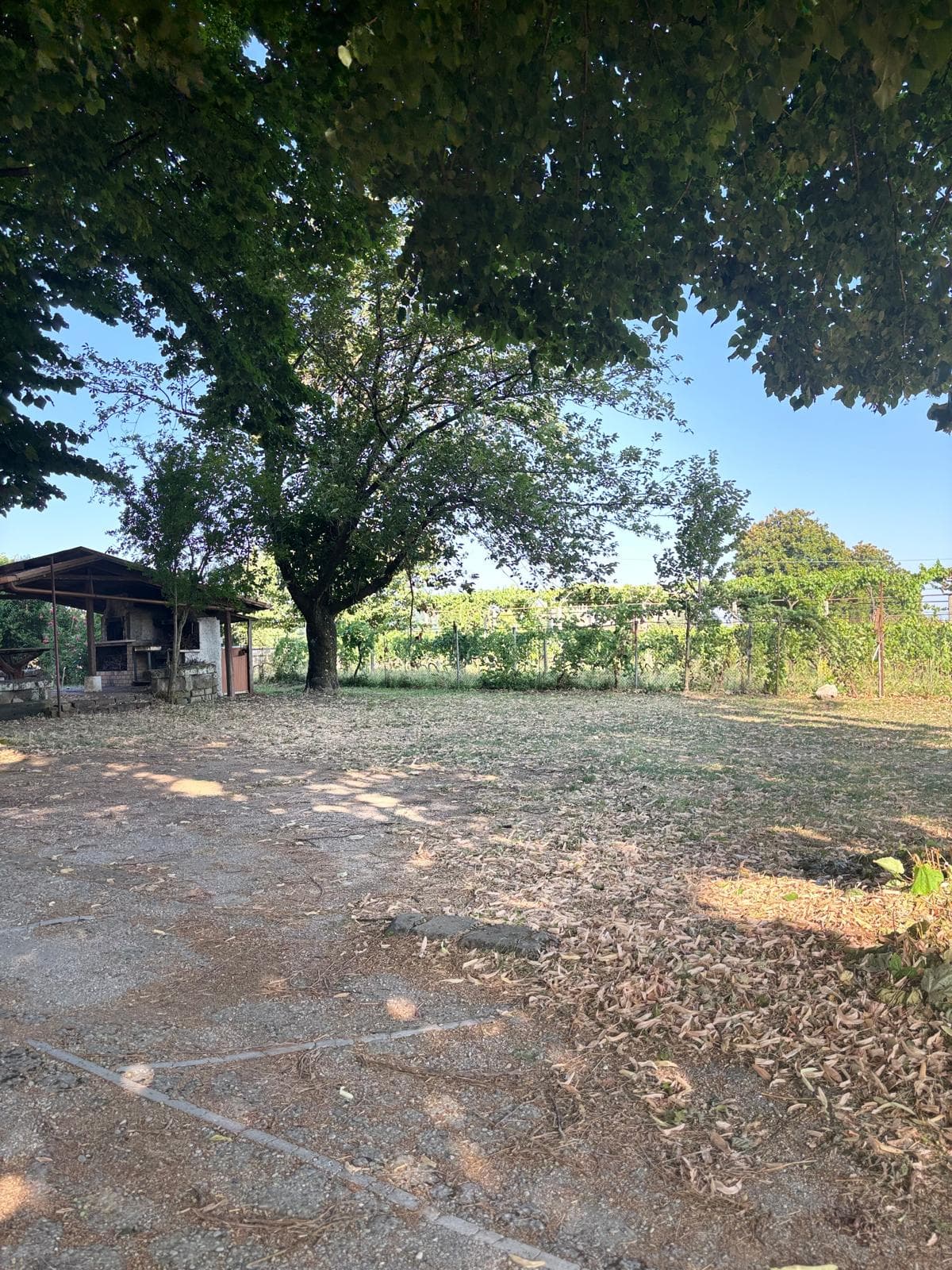 Esterni della villa - slide 4 di 7